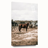 Serene Horse in Field Wall Art | Rustic Farmhouse Decor for Country Homes