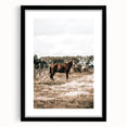 Serene Horse in Field Wall Art | Rustic Farmhouse Decor for Country Homes