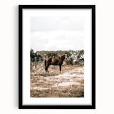 Serene Horse in Field Wall Art | Rustic Farmhouse Decor for Country Homes