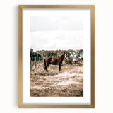 Serene Horse in Field Wall Art | Rustic Farmhouse Decor for Country Homes