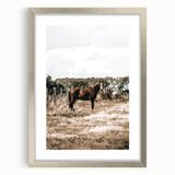 Serene Horse in Field Wall Art | Rustic Farmhouse Decor for Country Homes