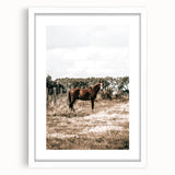 Serene Horse in Field Wall Art | Rustic Farmhouse Decor for Country Homes