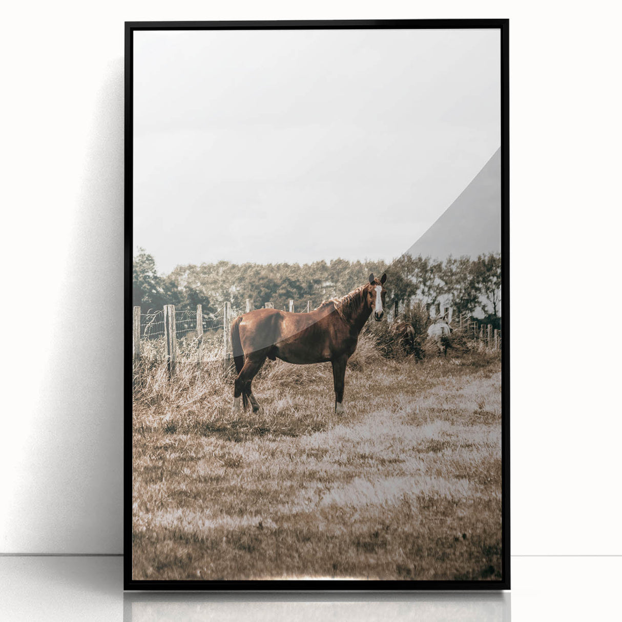 Serene Horse in Field Wall Art | Rustic Farmhouse Decor for Country Homes