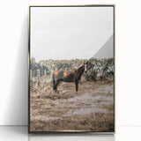 Serene Horse in Field Wall Art | Rustic Farmhouse Decor for Country Homes