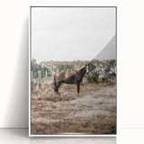 Serene Horse in Field Wall Art | Rustic Farmhouse Decor for Country Homes