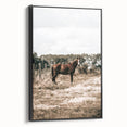 Serene Horse in Field Wall Art | Rustic Farmhouse Decor for Country Homes