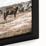 Serene Horse in Field Wall Art | Rustic Farmhouse Decor for Country Homes