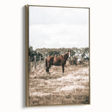 Serene Horse in Field Wall Art | Rustic Farmhouse Decor for Country Homes