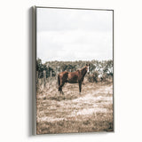 Serene Horse in Field Wall Art | Rustic Farmhouse Decor for Country Homes