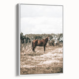 Serene Horse in Field Wall Art | Rustic Farmhouse Decor for Country Homes