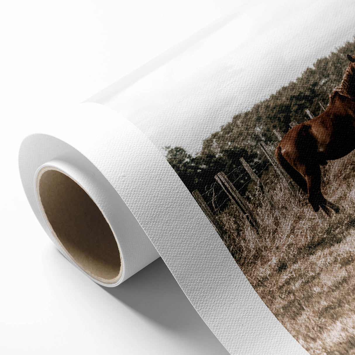 Serene Horse in Field Wall Art | Rustic Farmhouse Decor for Country Homes