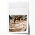 Serene Horse in Field Wall Art | Rustic Farmhouse Decor for Country Homes