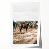 Serene Horse in Field Wall Art | Rustic Farmhouse Decor for Country Homes
