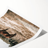 Serene Horse in Field Wall Art | Rustic Farmhouse Decor for Country Homes