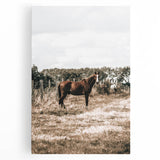 Serene Horse in Field Wall Art | Rustic Farmhouse Decor for Country Homes