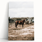 Serene Horse in Field Wall Art | Rustic Farmhouse Decor for Country Homes