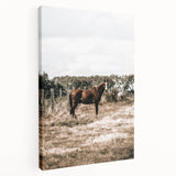 Serene Horse in Field Wall Art | Rustic Farmhouse Decor for Country Homes