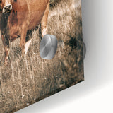 Farm Cow in Field Wall Art | Rustic Farmhouse Decor for Country Homes