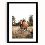 Farm Cow in Field Wall Art | Rustic Farmhouse Decor for Country Homes