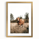 Farm Cow in Field Wall Art | Rustic Farmhouse Decor for Country Homes