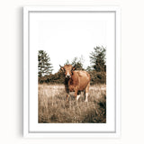 Farm Cow in Field Wall Art | Rustic Farmhouse Decor for Country Homes