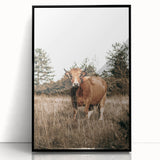 Farm Cow in Field Wall Art | Rustic Farmhouse Decor for Country Homes