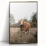 Farm Cow in Field Wall Art | Rustic Farmhouse Decor for Country Homes