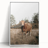 Farm Cow in Field Wall Art | Rustic Farmhouse Decor for Country Homes