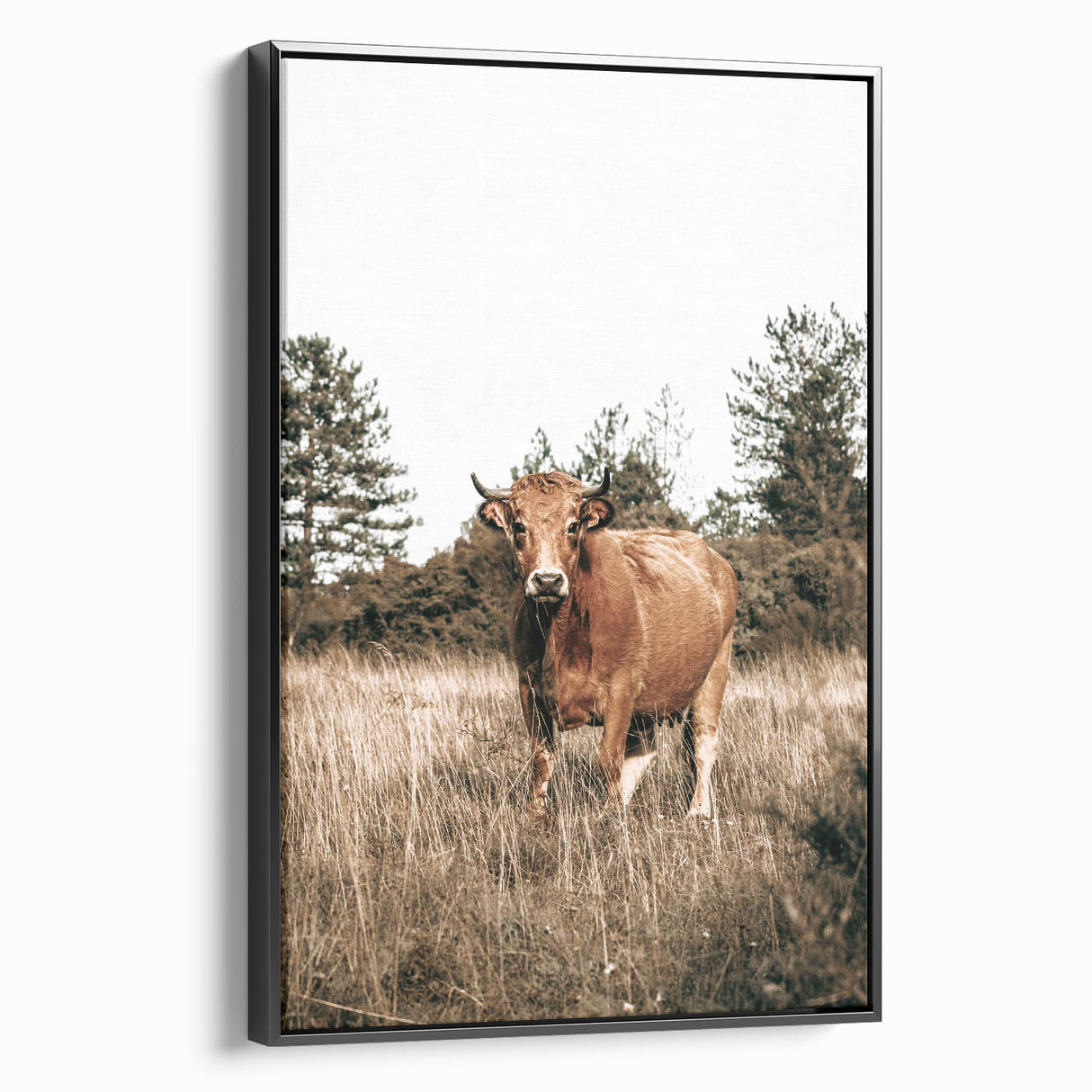 Farm Cow in Field Wall Art | Rustic Farmhouse Decor for Country Homes