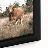 Farm Cow in Field Wall Art | Rustic Farmhouse Decor for Country Homes