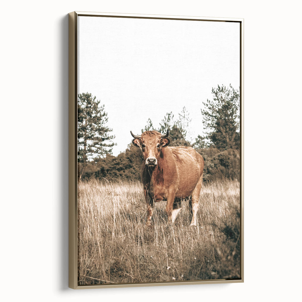 Farm Cow in Field Wall Art | Rustic Farmhouse Decor for Country Homes