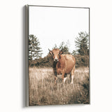Farm Cow in Field Wall Art | Rustic Farmhouse Decor for Country Homes