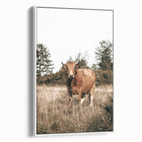 Farm Cow in Field Wall Art | Rustic Farmhouse Decor for Country Homes