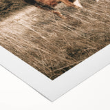 Farm Cow in Field Wall Art | Rustic Farmhouse Decor for Country Homes