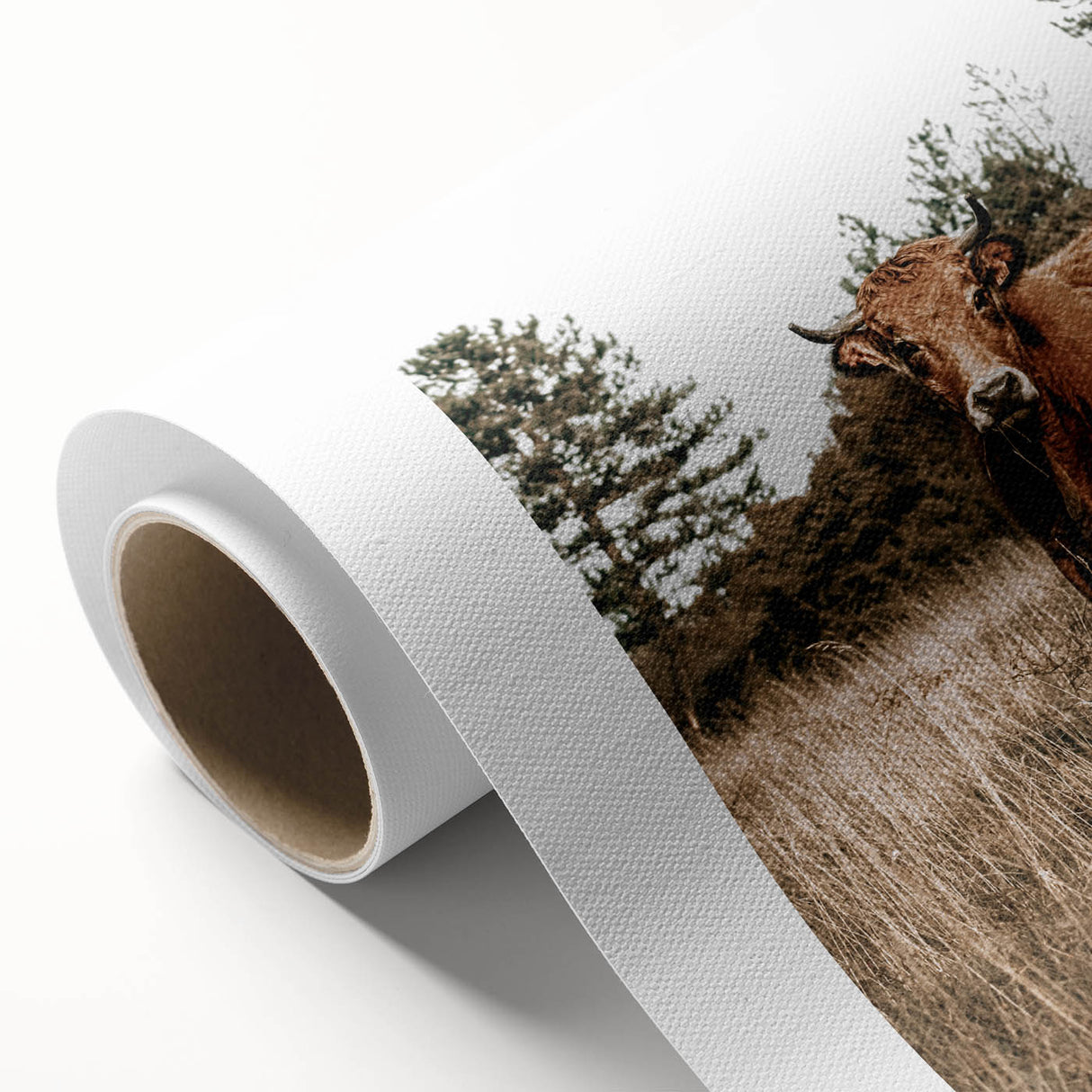 Farm Cow in Field Wall Art | Rustic Farmhouse Decor for Country Homes