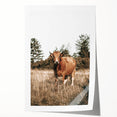 Farm Cow in Field Wall Art | Rustic Farmhouse Decor for Country Homes
