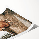 Farm Cow in Field Wall Art | Rustic Farmhouse Decor for Country Homes