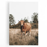 Farm Cow in Field Wall Art | Rustic Farmhouse Decor for Country Homes