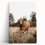 Farm Cow in Field Wall Art | Rustic Farmhouse Decor for Country Homes