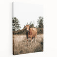 Farm Cow in Field Wall Art | Rustic Farmhouse Decor for Country Homes