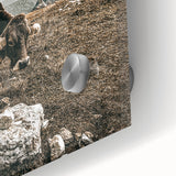 Mountain Cow Grazing Wall Art | Rustic Farmhouse Decor for Country Homes