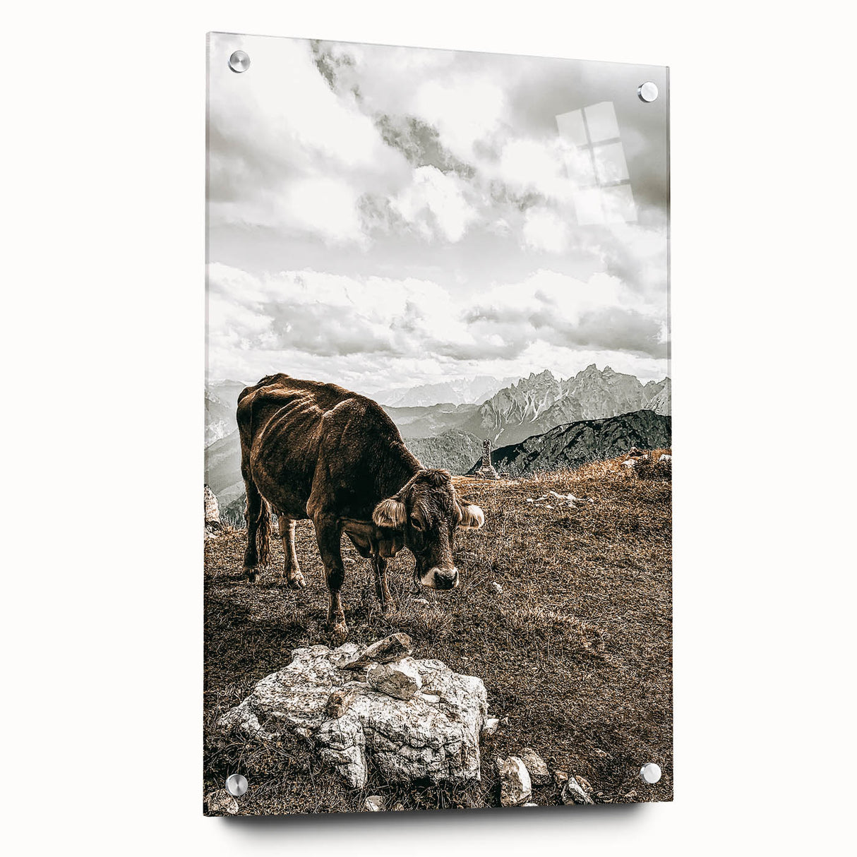 Mountain Cow Grazing Wall Art | Rustic Farmhouse Decor for Country Homes