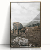 Mountain Cow Grazing Wall Art | Rustic Farmhouse Decor for Country Homes