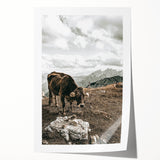 Mountain Cow Grazing Wall Art | Rustic Farmhouse Decor for Country Homes