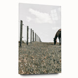 Peaceful Horse Grazing Wall Art | Rustic Farmhouse Decor for Country Homes