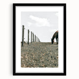 Peaceful Horse Grazing Wall Art | Rustic Farmhouse Decor for Country Homes