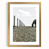 Peaceful Horse Grazing Wall Art | Rustic Farmhouse Decor for Country Homes