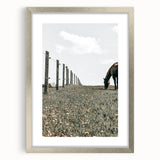 Peaceful Horse Grazing Wall Art | Rustic Farmhouse Decor for Country Homes