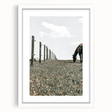 Peaceful Horse Grazing Wall Art | Rustic Farmhouse Decor for Country Homes