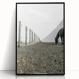 Peaceful Horse Grazing Wall Art | Rustic Farmhouse Decor for Country Homes